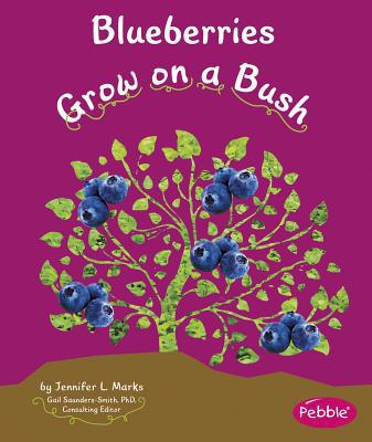 Blueberries Grow on a Bush 1429661836 Book Cover