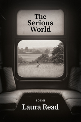 The Serious World 1960145835 Book Cover