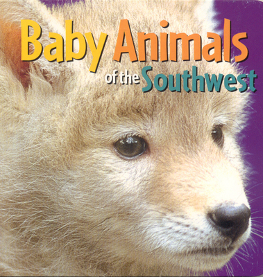 Baby Animals of the Southwest B002B6Y15G Book Cover