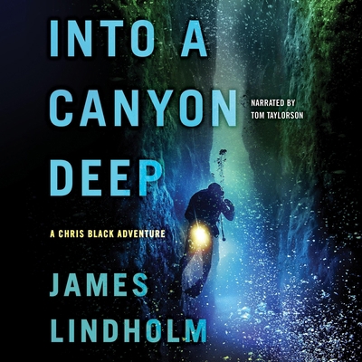 Into a Canyon Deep B0F9K58TNM Book Cover