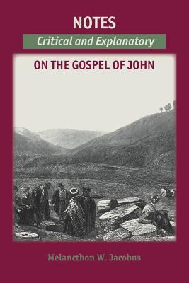Notes on the Gospels: Critical and Explanatory ... 1599253356 Book Cover