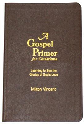 A Gospel Primer for Christians: Learning to See... 1885904932 Book Cover