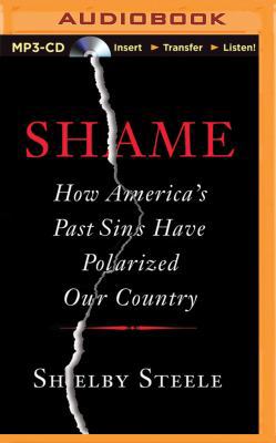 Shame: How America's Past Sins Have Polarized O... 1501209744 Book Cover