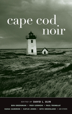 Cape Cod Noir B0082RKOWW Book Cover