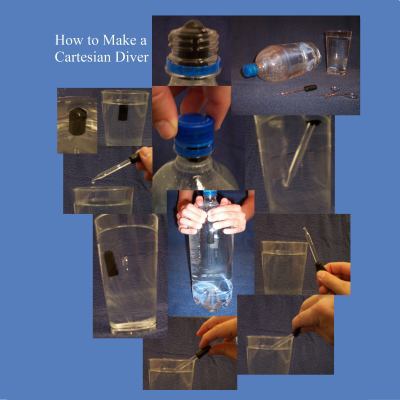 Hardcover How to Make a Cartesian Diver Book
