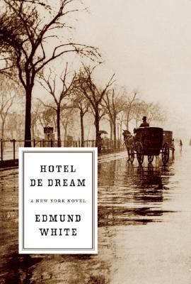 Hotel de Dream: A New York Novel 0060852259 Book Cover