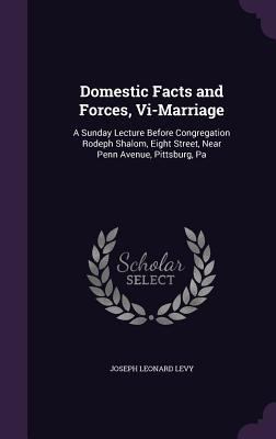 Domestic Facts and Forces, Vi-Marriage: A Sunda... 1359283498 Book Cover