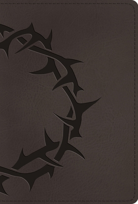 ESV Large Print Compact Bible, Red Letter (Trut... B0DWNFSL2T Book Cover