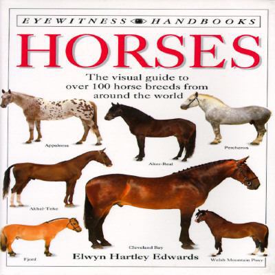 Horses 1564581772 Book Cover