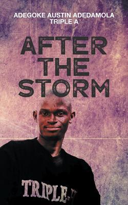 After the Storm 1789556600 Book Cover