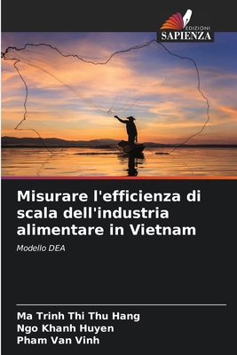 Misurare l'efficienza di scala dell'industria a... [Italian] 6207368339 Book Cover