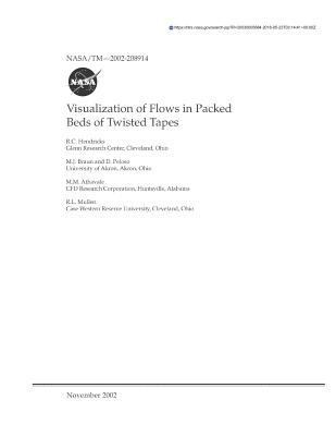 Visualization of Flows in Packed Beds of Twiste... 1723908940 Book Cover