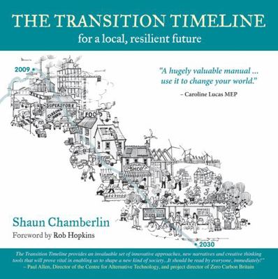 The Transition Timeline 1900322560 Book Cover