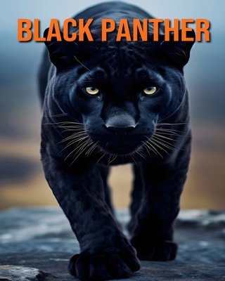 Black Panther: Fun and Facts and Pictures About...            Book Cover