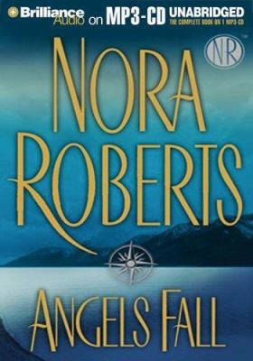 Angels Fall 1593359608 Book Cover