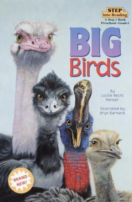 Big Birds (Step into Reading, Step 1, paper) 067988968X Book Cover