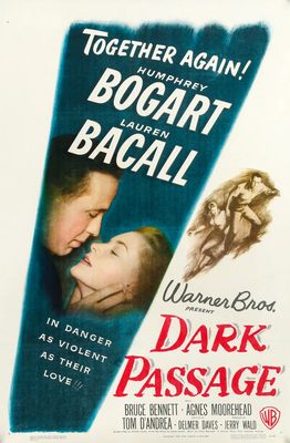 Dark Passage 1598538640 Book Cover