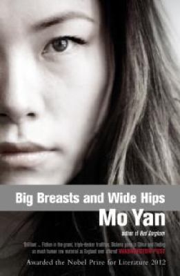 Big Breasts and Wide Hips 0413771555 Book Cover