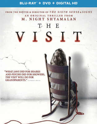 The Visit            Book Cover