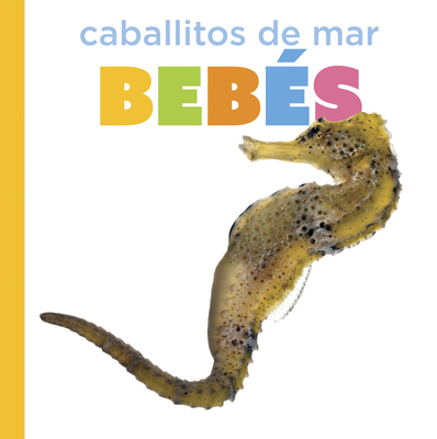 Caballitos de Mar Bebés [Spanish] B0GSS7J5JY Book Cover
