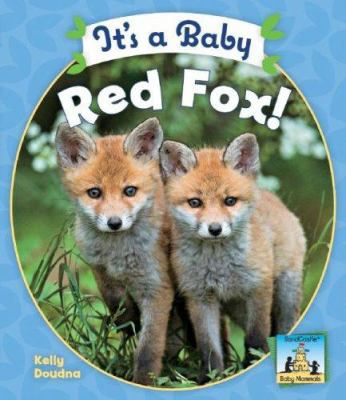 It's a Baby Red Fox! 1604530316 Book Cover