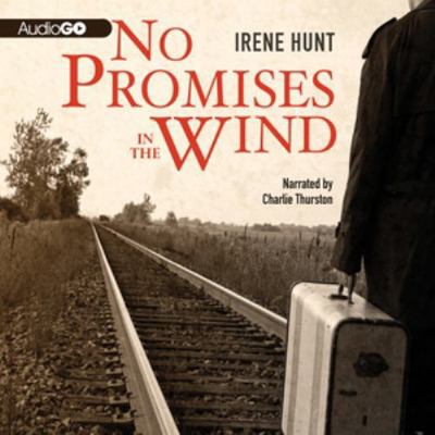 No Promises in the Wind Lib/E 1935430661 Book Cover