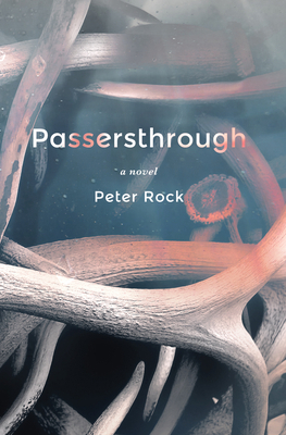 Passersthrough 1641293438 Book Cover