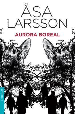 Aurora Boreal / Sun Storm (Spanish Edition) [Spanish] 1681650010 Book Cover