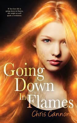 Going Down in Flames (a Going Down in Flames No... 1500553174 Book Cover