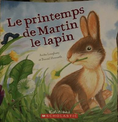 Rabbit's Spring Adventure 1435145844 Book Cover