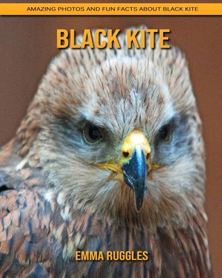 Paperback Black Kite: Amazing Photos and Fun Facts about Black Kite [Large Print] Book