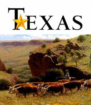 Art of the State Texas 0810955644 Book Cover