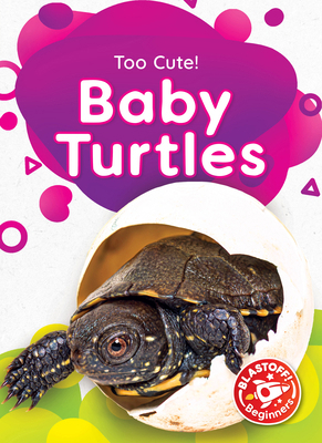 Baby Turtles B0CHPHK57L Book Cover