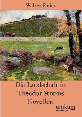Die Landschaft in Theodor Storms Novellen [German] 3845724749 Book Cover
