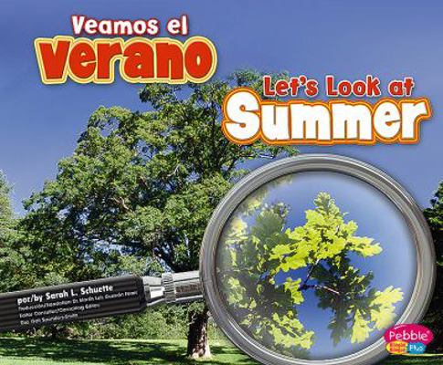 Veamos El Verano/Let's Look at Summer [Spanish] 1429622903 Book Cover