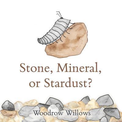 Stone, Mineral, or Stardust? 1978406142 Book Cover