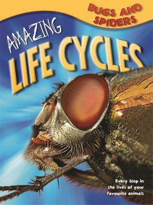 Amazing Life Cycles: Bugs and Spiders 1848989458 Book Cover