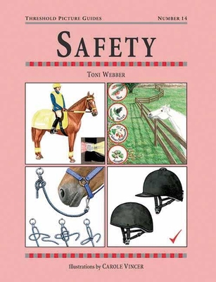 Safety 1872082912 Book Cover