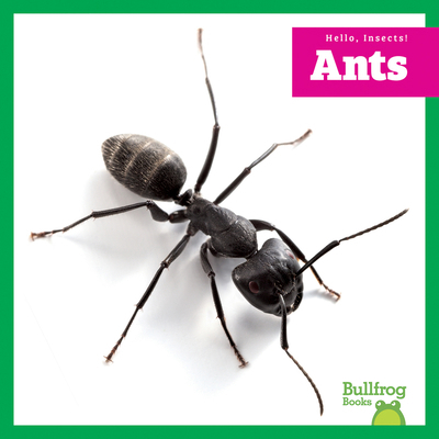 Ants B0FP3NBKCJ Book Cover