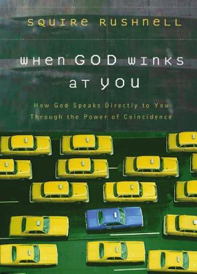 When God Winks at You: How God Speaks Directly ... 0785218920 Book Cover