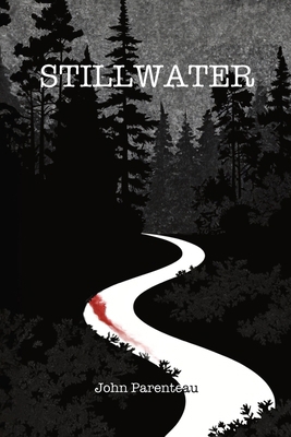 Stillwater B0FHDJTY25 Book Cover