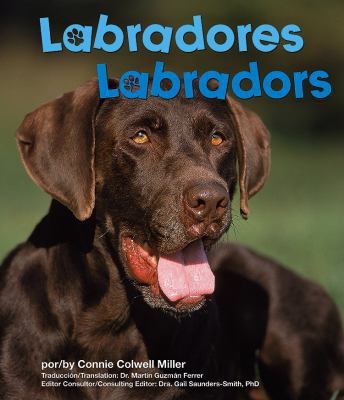 Labradores/Labradors [Spanish] 1429632569 Book Cover