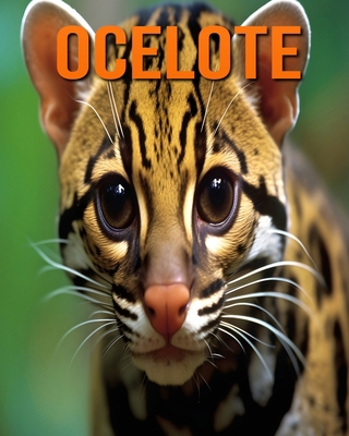 Ocelote: Datos e imágenes divertidas y fascinan... [Spanish]            Book Cover