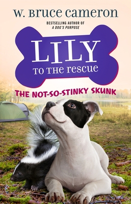 Lily to the Rescue: The Not-So-Stinky Skunk 1250234476 Book Cover