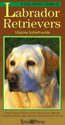 Labrador Retrievers 1564651347 Book Cover
