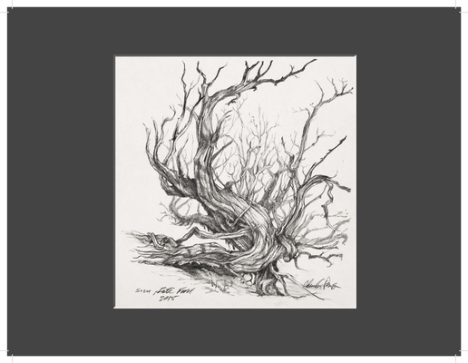 Charles Parson Drawing 0998592218 Book Cover