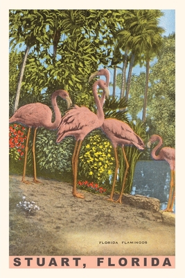 Vintage Journal Flamingos 1669519503 Book Cover