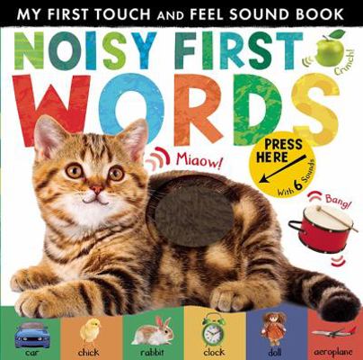 Noisy First Words: My First Touch and Feel Soun...            Book Cover