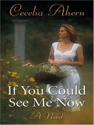 If You Could See Me Now [Large Print] 1597221953 Book Cover
