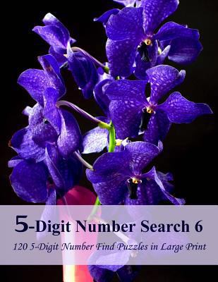 5-Digit Number Search 6: 120 5-Digit Number Fin... [Large Print] 1547074280 Book Cover